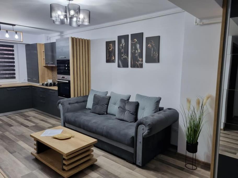 Luxury Apartments Bacau Exterior photo